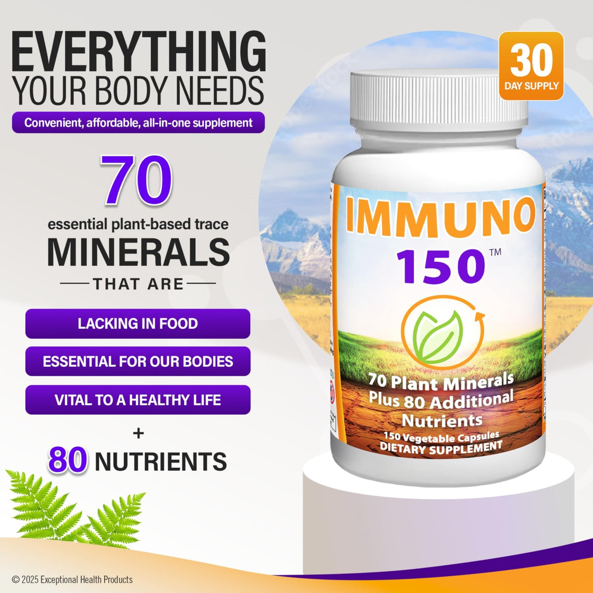 Immuno 150, Immune Support Supplement, Packed with 70 Plant Minerals, 13 Essential Vitamins and 68 Additional Nutrients-150 Vegetable Capsules- Immune Boost for All Age Groups - FENGGESTORE20