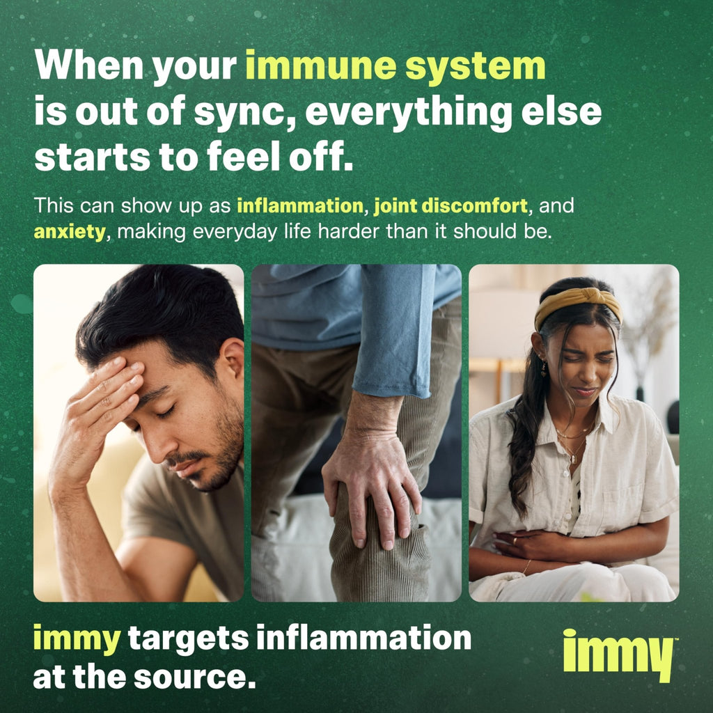 IMMY Doctor-Developed Inflammation Support - 90 Capsules - Supports Healthy Inflammatory Response & Immune Resilience - FENGGESTORE20