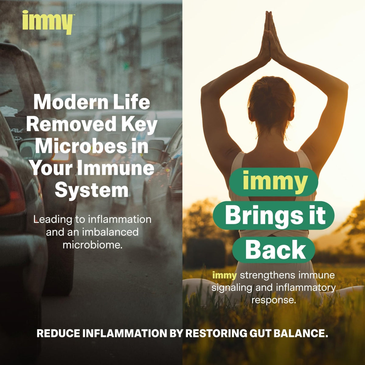 IMMY Doctor-Developed Inflammation Support - 90 Capsules - Supports Healthy Inflammatory Response & Immune Resilience - FENGGESTORE20
