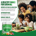 IMPACT Fiber Gummies for Adults, Women & Kids – Supergreens Veggies Daily High Fiber Gummies, for Gut Health & Immunity, Vegetarian Gummy Fiber Supplement, - FENGGESTORE20