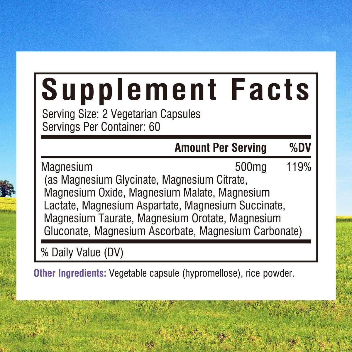 Innate Vitality 12-in-1 Magnesium Complex, 500 mg Elemental Mag, with Magnesium Glycinate Malate Taurate Aspartate & More, Non-GMO, for Nerves, Sleep, Heart, Energy, 120 Veg Caps - FENGGESTORE20