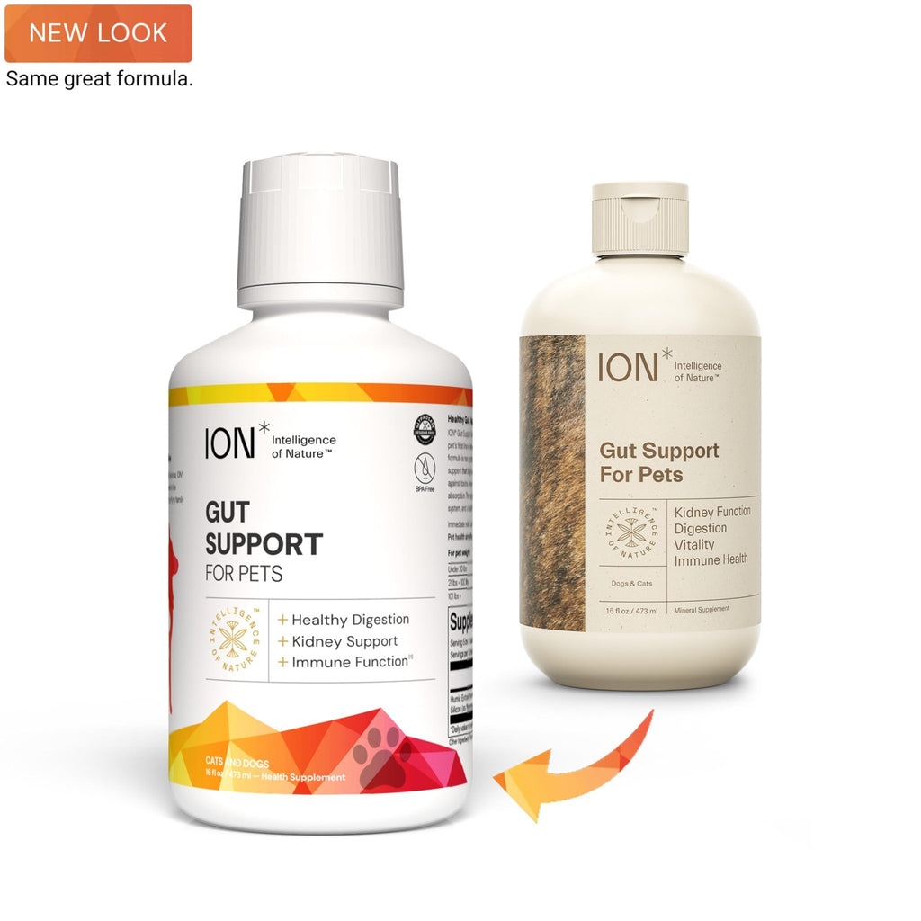 ION* Intelligence of Nature Gut Support For Pets - Liquid Probiotics Drops Alternative for Dogs & Cats, Digestive Health for Puppies, Skin & Hair Health - 16 fl oz (Pack of 1) - FENGGESTORE20