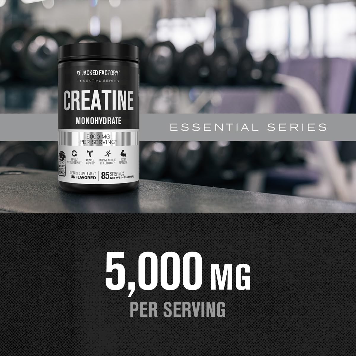 Jacked Factory Creatine Monohydrate Powder 425g - 5g Daily Creatine Supplement for Men and Women, Vegan-Friendly - FENGGESTORE20