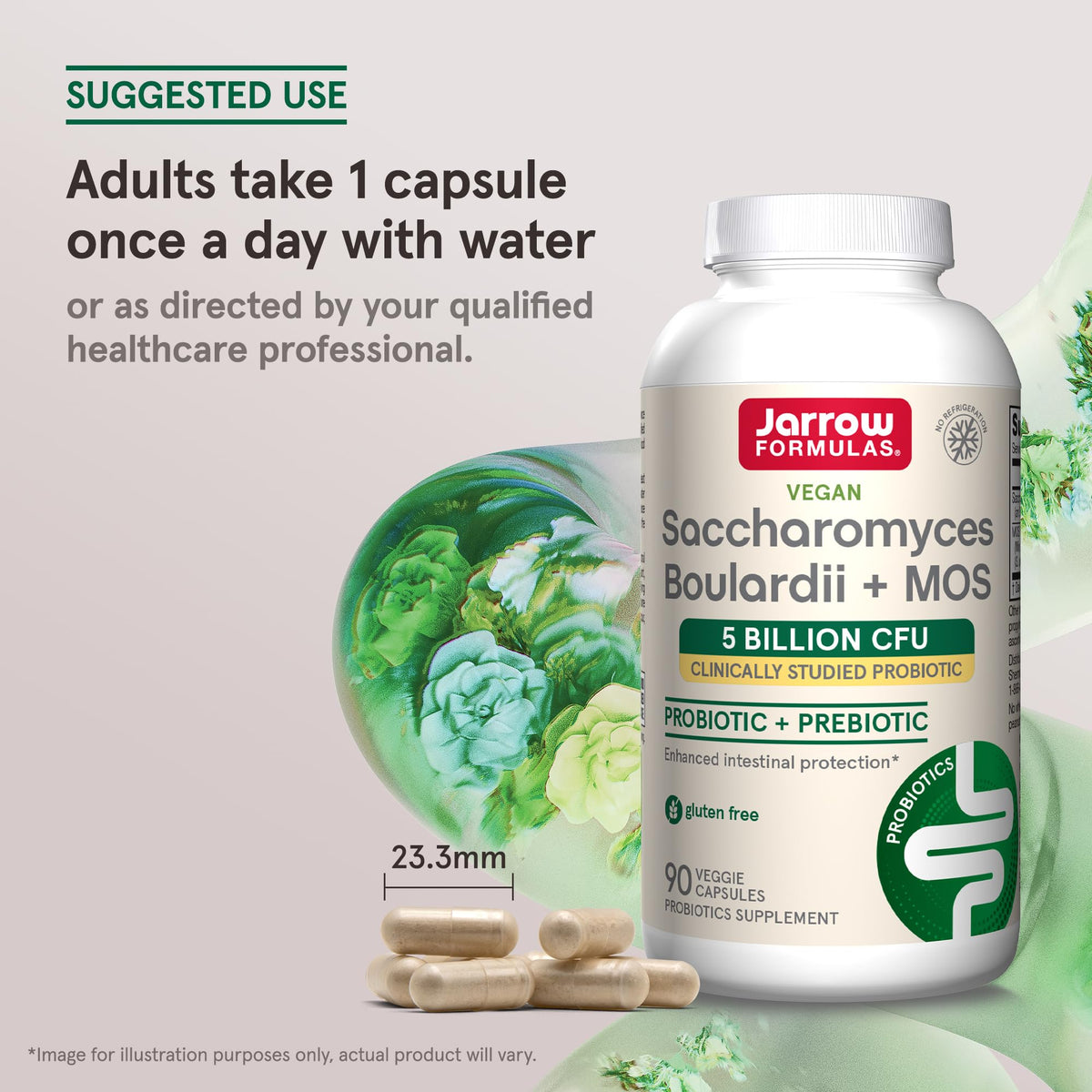 Jarrow Formulas Saccharomyces Boulardii + MOS Probiotics for Digestive Health and Intestinal Tract Support - 5 Billion CFU Per Serving - 90 Delayed Release Caps - FENGGESTORE20