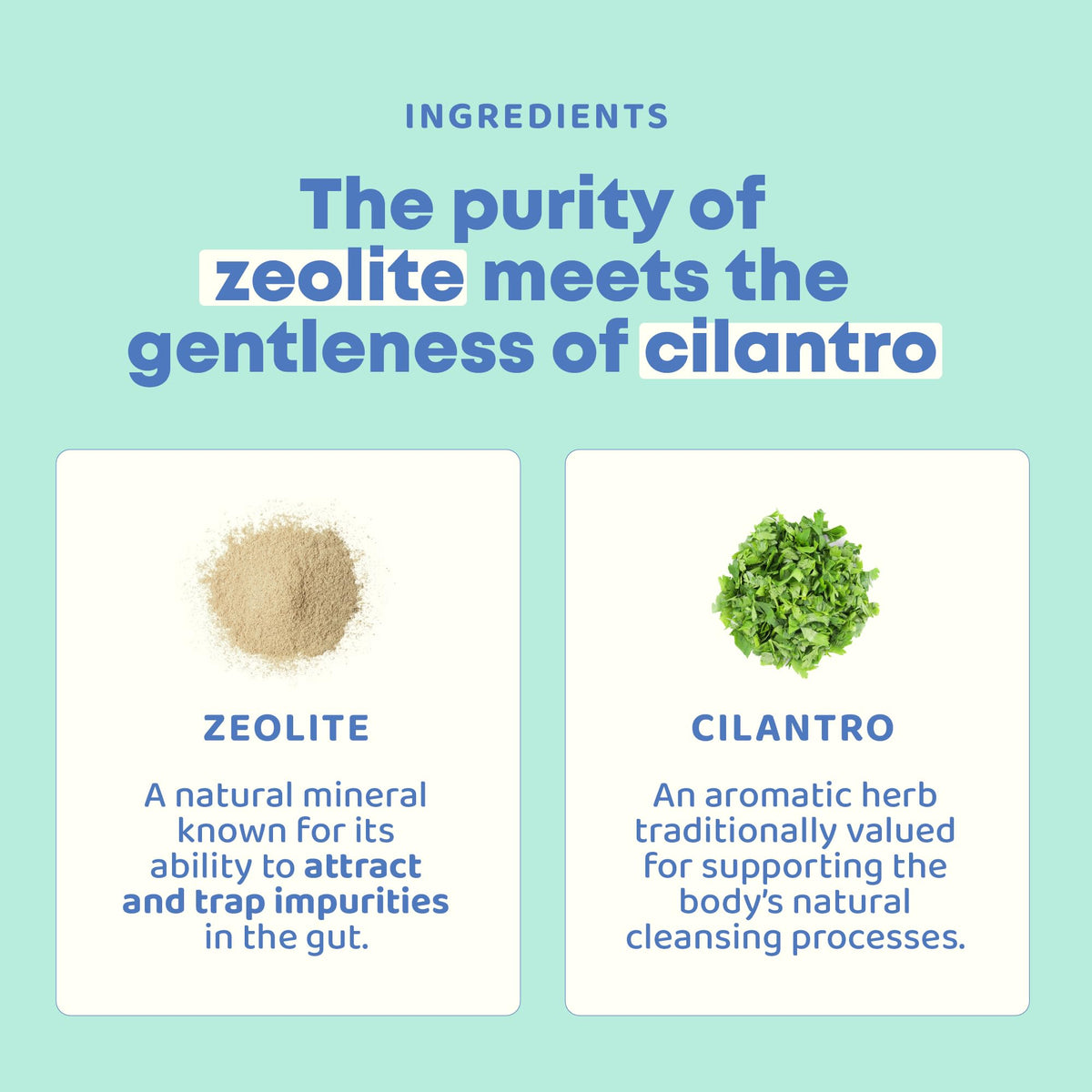 JoySpring DetoxZee Cilantro & Zeolite Drops for Kids | Liquid Zeolite Clinoptilolite with Cilantro Extract | Gentle Daily Wellness Support - FENGGESTORE20