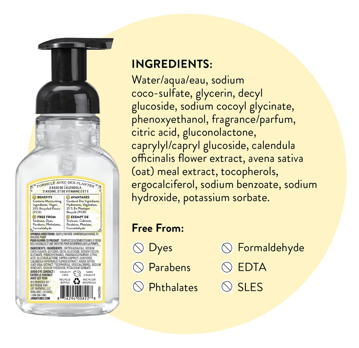 J.R. Watkins Foaming Hand Soap with Pump Dispenser, Moisturizing Foam Hand Wash, Alcohol-Free, Cruelty-Free, Citron, 9 fl oz, 3 Pack - FENGGESTORE20