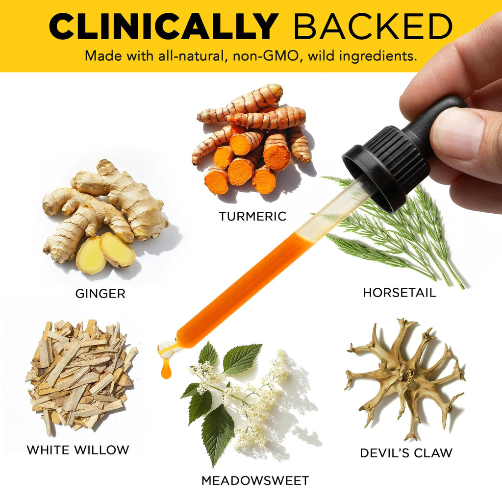 Juicy Joint by Plants Basically – Joint Support Supplement for Mobility, Relief & Recovery | - FENGGESTORE20