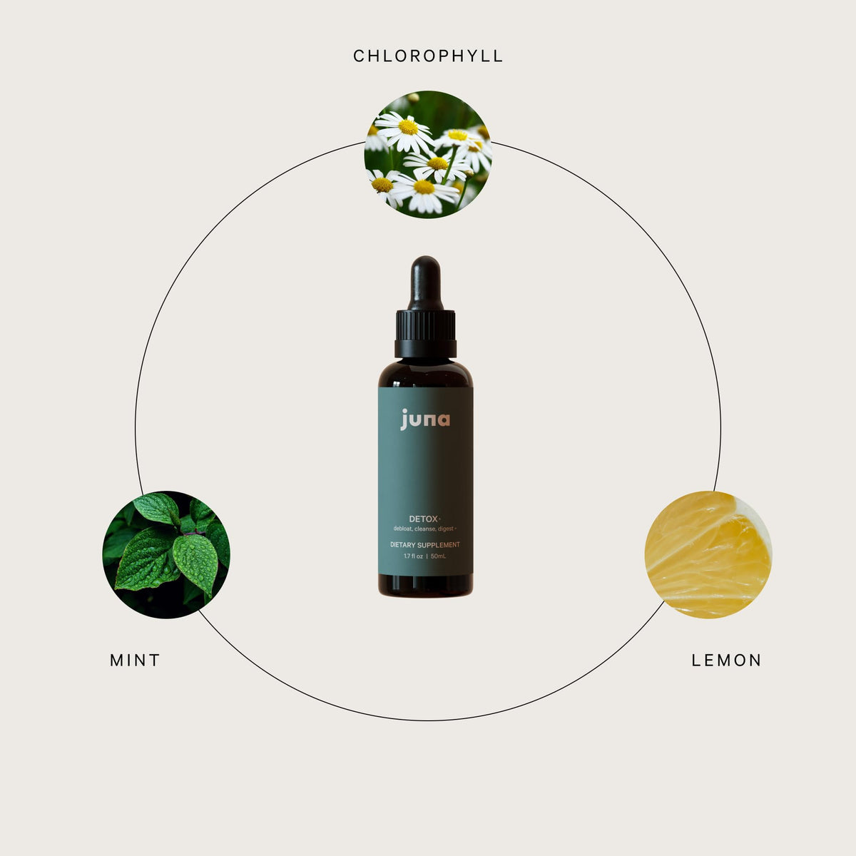 Juna Detox Chlorophyll Drops — Daily Wellness & Detox Support | Lemon Mint Spa Water Taste | Supports Cellular Health, Cleanse - FENGGESTORE20