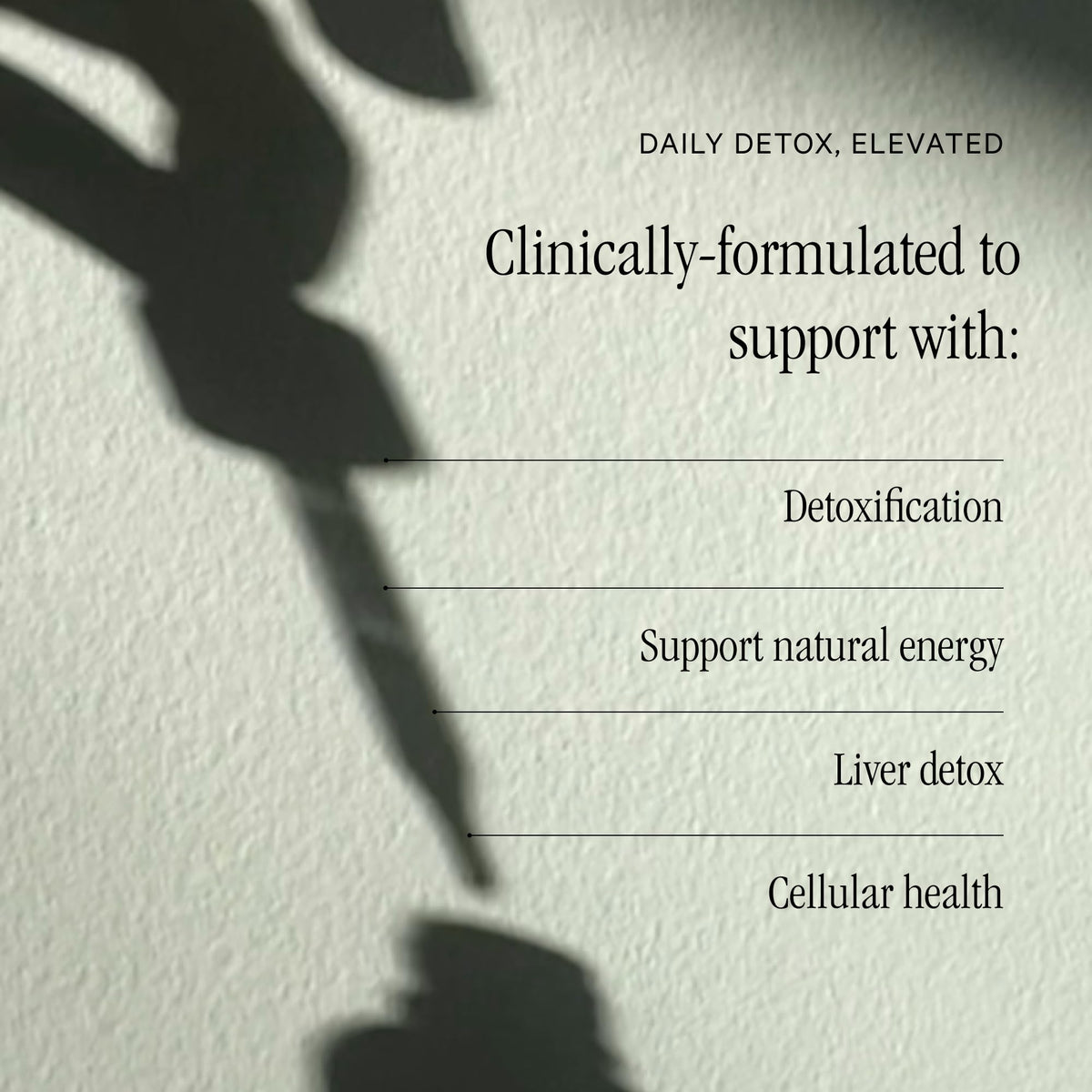 Juna Detox Chlorophyll Drops — Daily Wellness & Detox Support | Lemon Mint Spa Water Taste | Supports Cellular Health, Cleanse - FENGGESTORE20