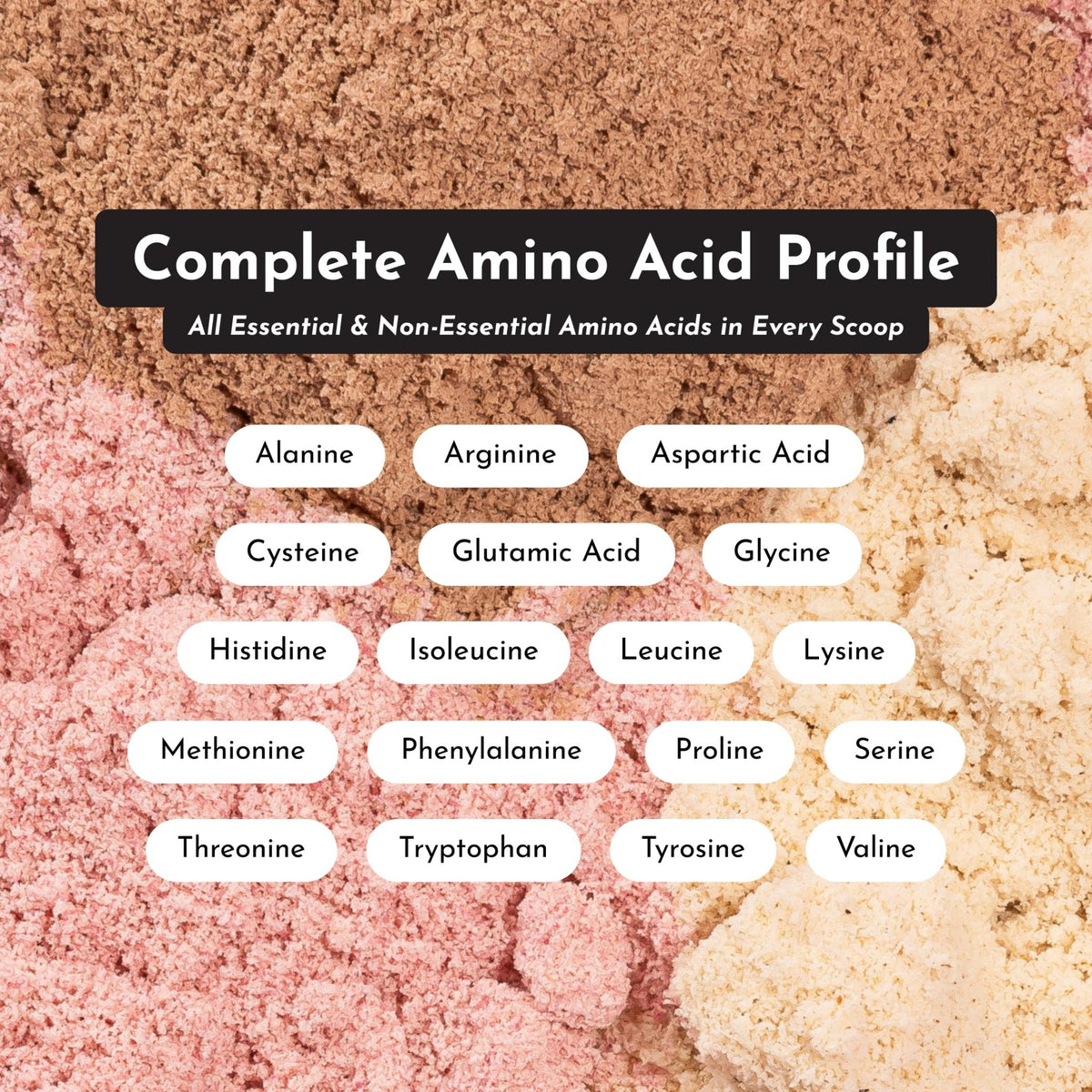 JUST INGREDIENTS Vanilla Protein Powder - Grass-Fed Whey Blend, Organic, Gluten Free, Dairy Free, Soy Free - 15 Servings, 22g Protein - FENGGESTORE20