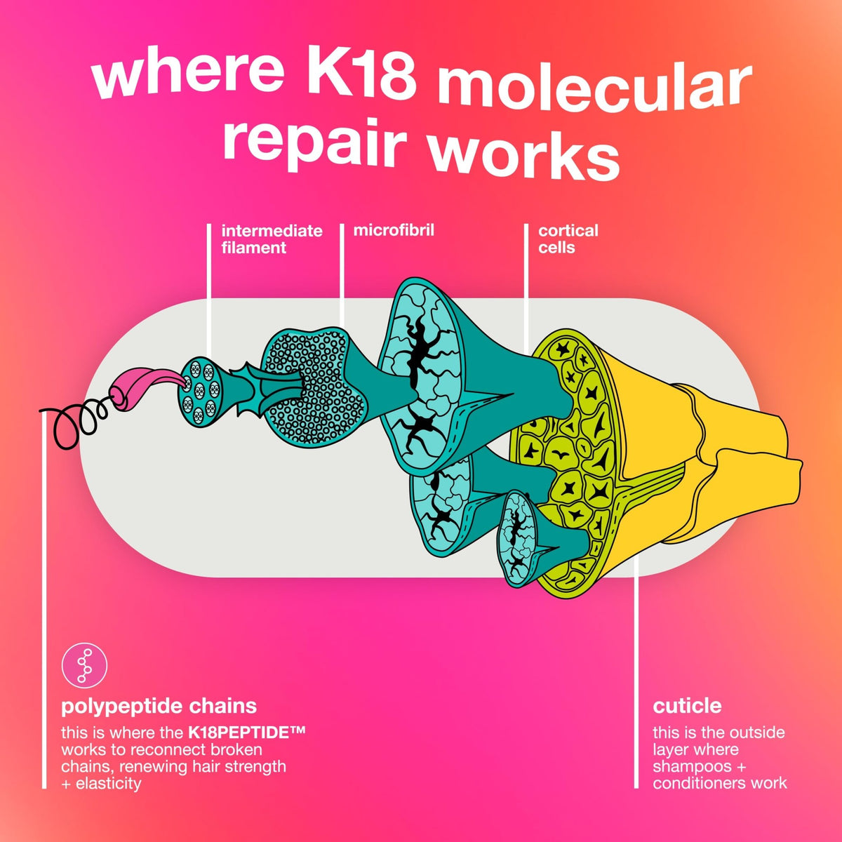 K18 Leave-In Molecular Repair Hair Mask - Peptide Hair Treatment Mask for Bleach, Color, Chemical + Heat Damaged Strands - Immediate - FENGGESTORE20
