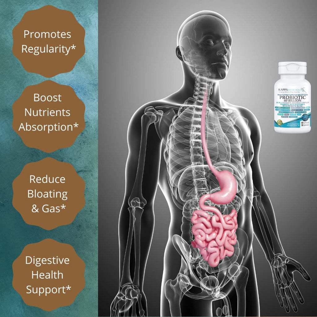KAPPA NUTRITION Probiotic 60 Billion CFU 14 in 1 Formula with Prebiotics & Acidophilus for Women, Men & Adults, Shelf Stable, Acid Resistant, Natural Supplement 60 Capsules. - FENGGESTORE20