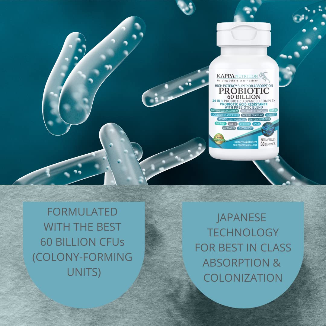 KAPPA NUTRITION Probiotic 60 Billion CFU 14 in 1 Formula with Prebiotics & Acidophilus for Women, Men & Adults, Shelf Stable, Acid Resistant, Natural Supplement 60 Capsules. - FENGGESTORE20