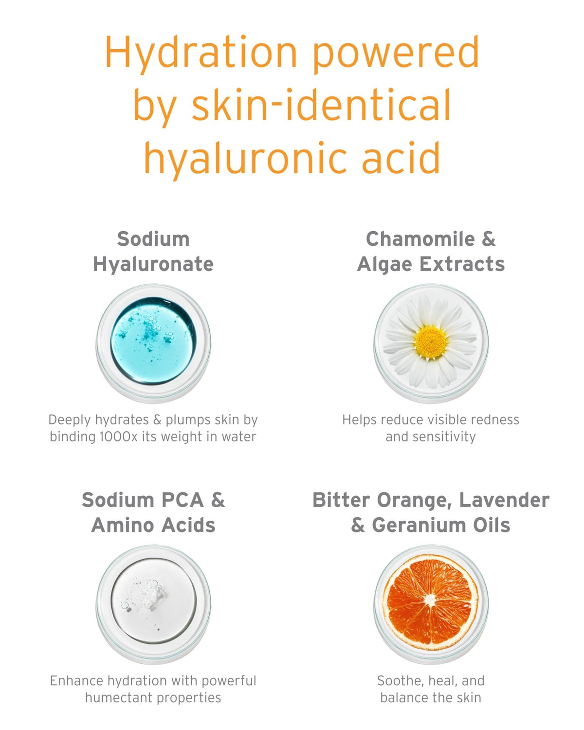 Kerstin Florian Hyaluronic Acid Serum | Moisturizing Anti-Aging Serum for Hydration & Plumpness | Paraben-Free | 1 fl oz - FENGGESTORE20