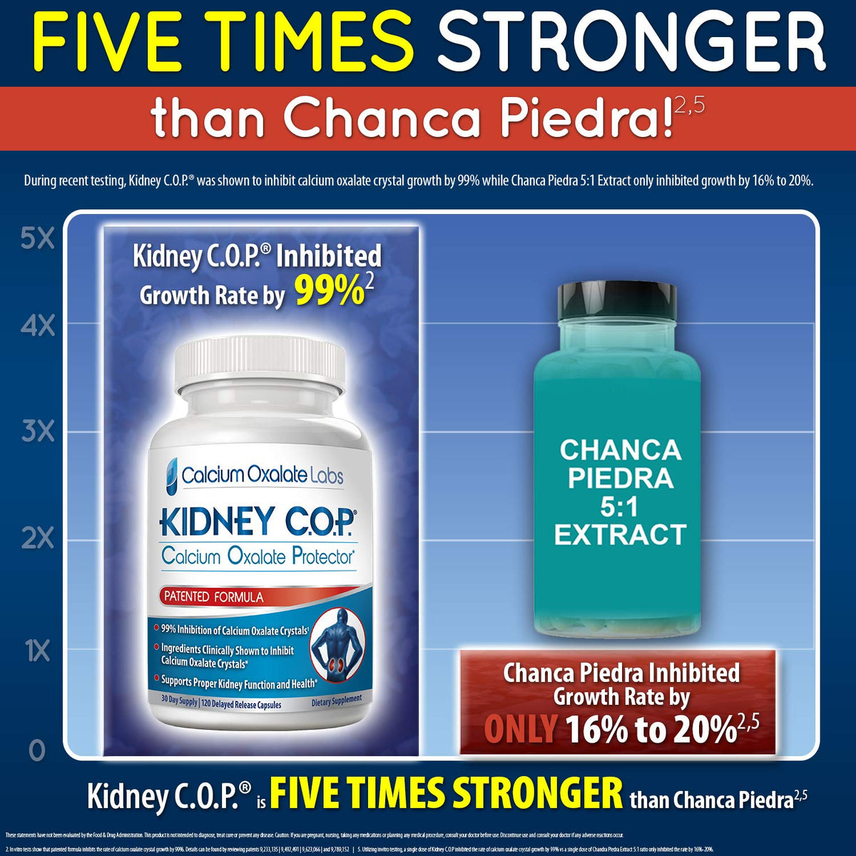KIDNEY C.O.P. Calcium Oxalate Protector 120 Capsules, Patented Kidney Support for Calcium Oxalate Crystals, Stop Recurrence - FENGGESTORE20