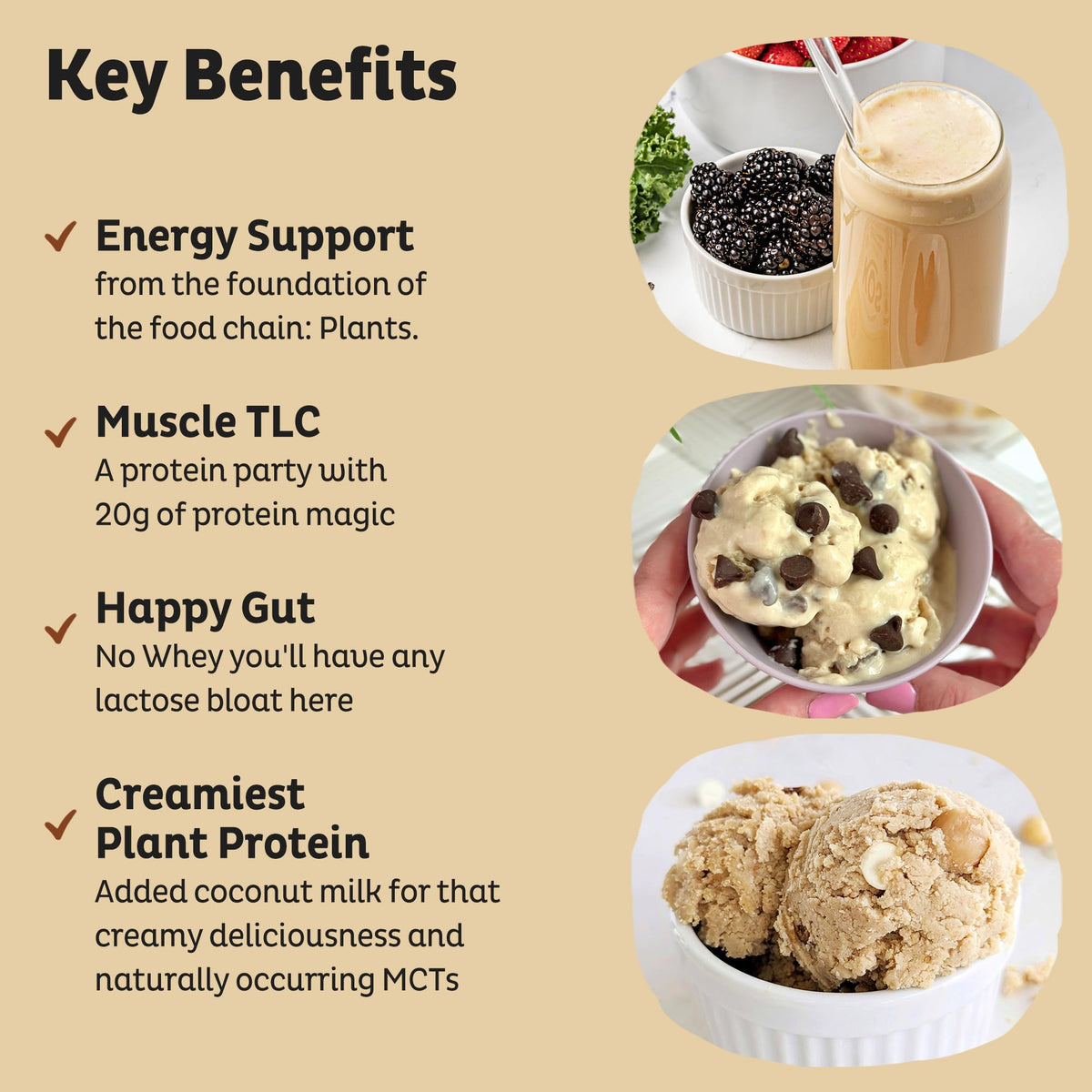 KOS Vegan Protein Powder Erythritol Free, Vanilla USDA Organic - Pea Protein Blend, Plant Based Superfood Rich in Vitamins & Minerals - Keto, Dairy Free - Meal Replacement for Women & Men, 28 Servings - FENGGESTORE20