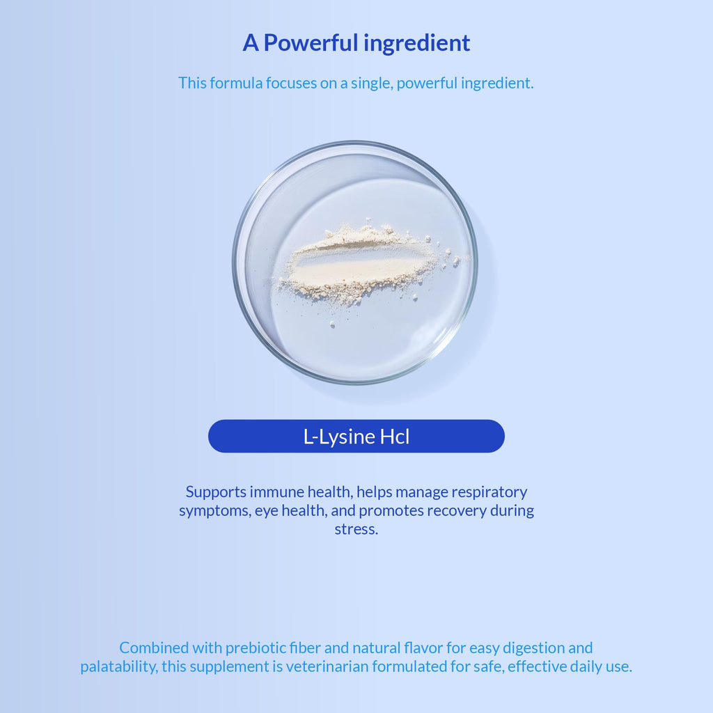 L-Lysine Supplement for Cats 900mg/scoop - Cat Supplement for Sneezing and Runny Nose, Cold, Immune Support, Eye Function - FENGGESTORE20