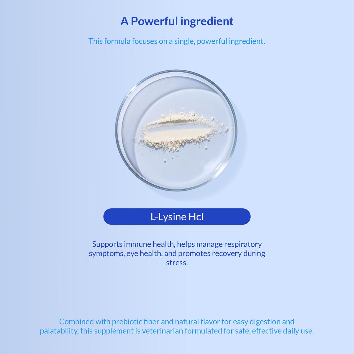 L-Lysine Supplement for Cats 900mg/scoop - Cat Supplement for Sneezing and Runny Nose, Cold, Immune Support, Eye Function - FENGGESTORE20