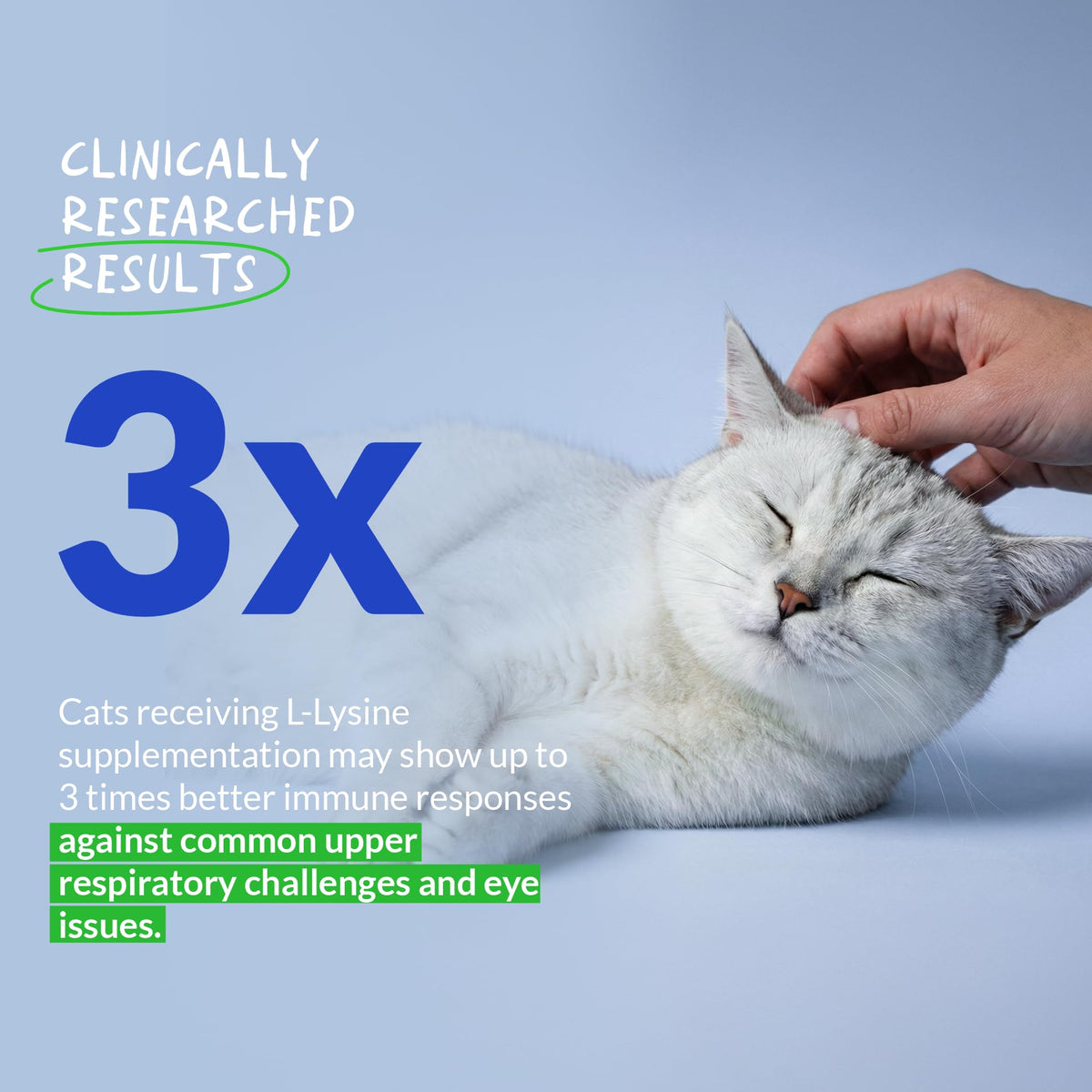 L-Lysine Supplement for Cats 900mg/scoop - Cat Supplement for Sneezing and Runny Nose, Cold, Immune Support, Eye Function - FENGGESTORE20