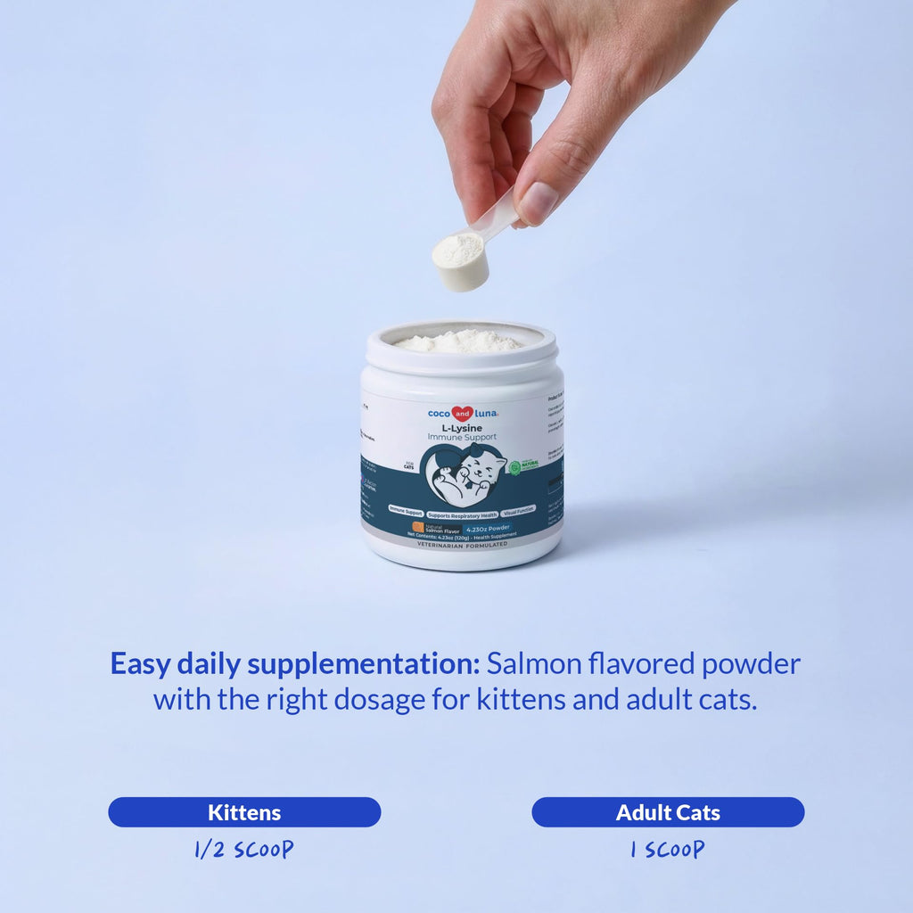 L-Lysine Supplement for Cats 900mg/scoop - Cat Supplement for Sneezing and Runny Nose, Cold, Immune Support, Eye Function - FENGGESTORE20