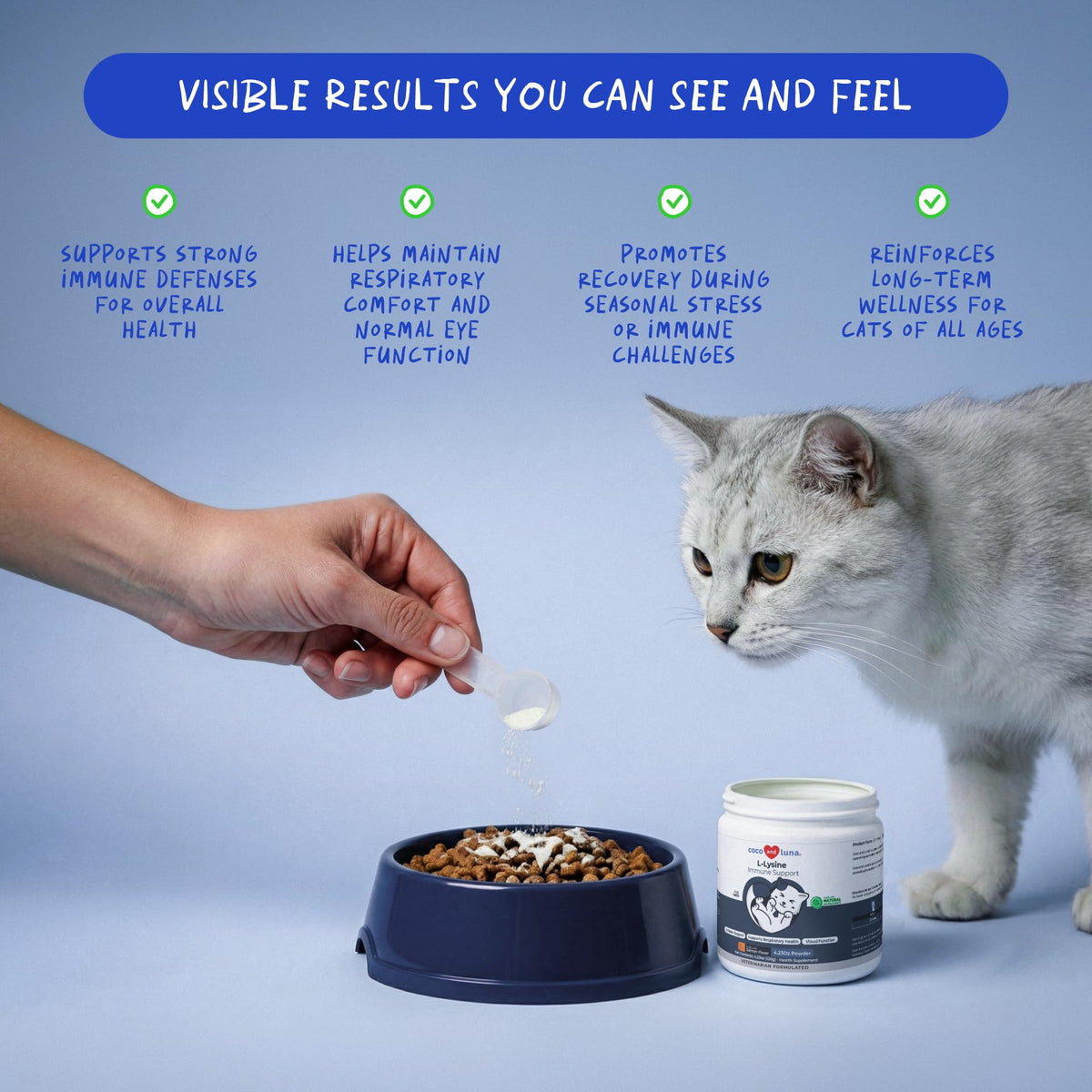 L-Lysine Supplement for Cats 900mg/scoop - Cat Supplement for Sneezing and Runny Nose, Cold, Immune Support, Eye Function - FENGGESTORE20