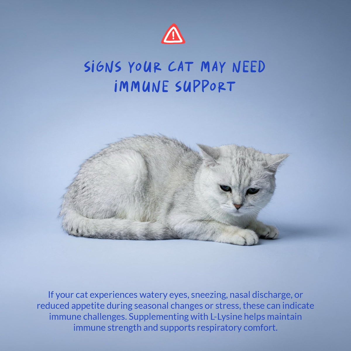 L-Lysine Supplement for Cats 900mg/scoop - Cat Supplement for Sneezing and Runny Nose, Cold, Immune Support, Eye Function - FENGGESTORE20