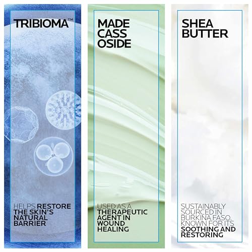 La Roche-Posay Cicaplast Balm B5 UV SPF 50, Vitamin B5 + Shea Butter + Tribioma + Madecassoside + Zinc Oxide Sunscreen - FENGGESTORE20