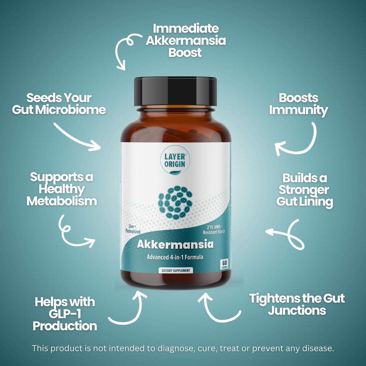 Layer Origin Akkermansia muciniphila Probiotic, with Both Live + Pasteurized Akkermansia and PureHMO Prebiotic, Validated Strain, Updated 4-in-1 Formula - FENGGESTORE20