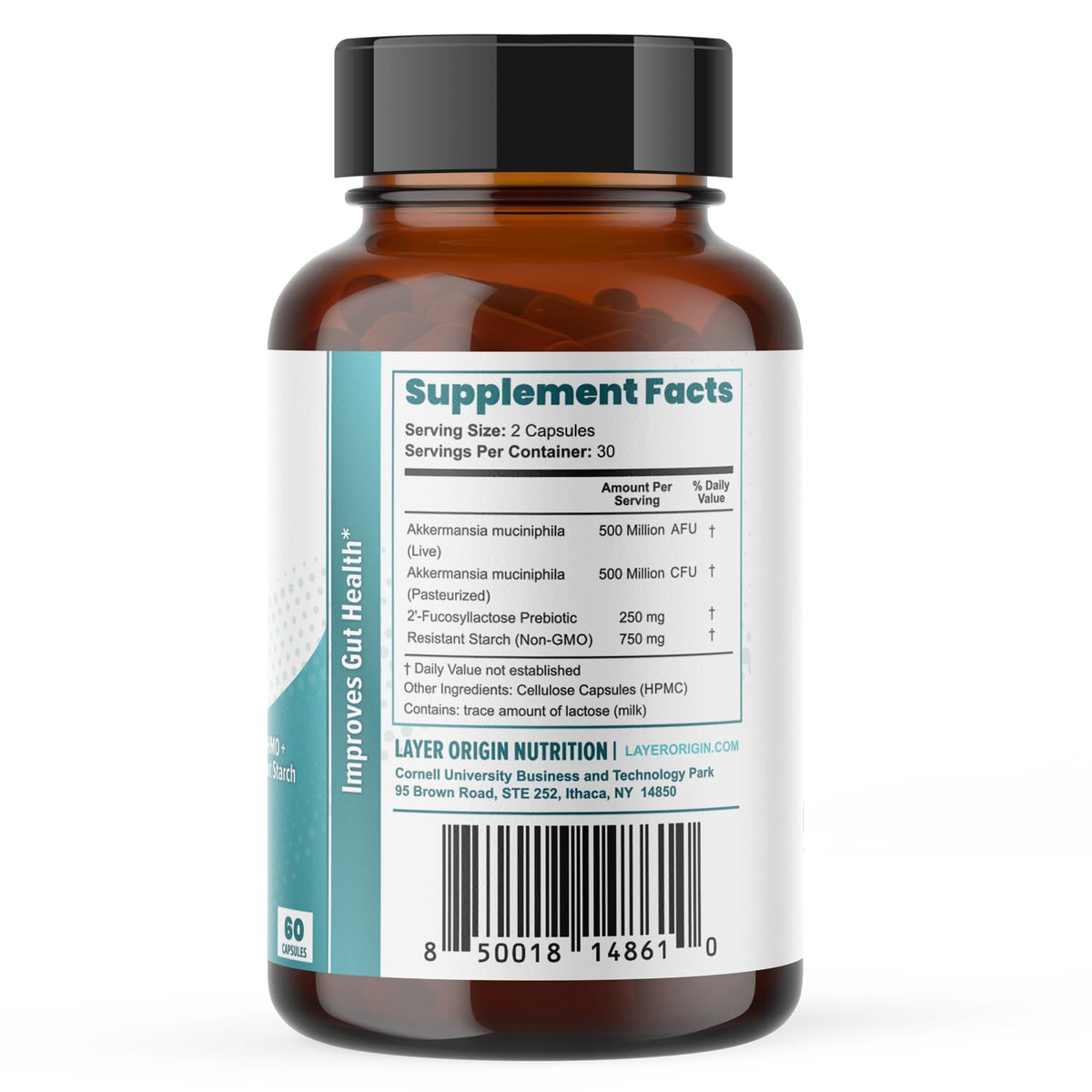 Layer Origin Akkermansia muciniphila Probiotic, with Both Live + Pasteurized Akkermansia and PureHMO Prebiotic, Validated Strain, Updated 4-in-1 Formula - FENGGESTORE20