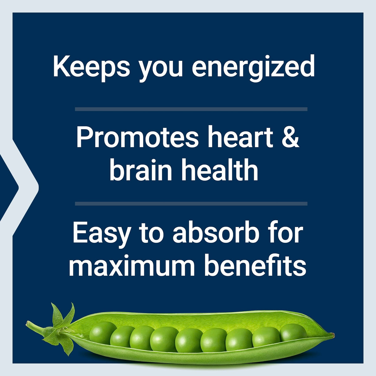 Life Extension BioActive Complete B-Complex, Heart, Nerve Support, Healthy Energy, Metabolism, Complete B Complex, 60 Vegetarian Capsules - FENGGESTORE20