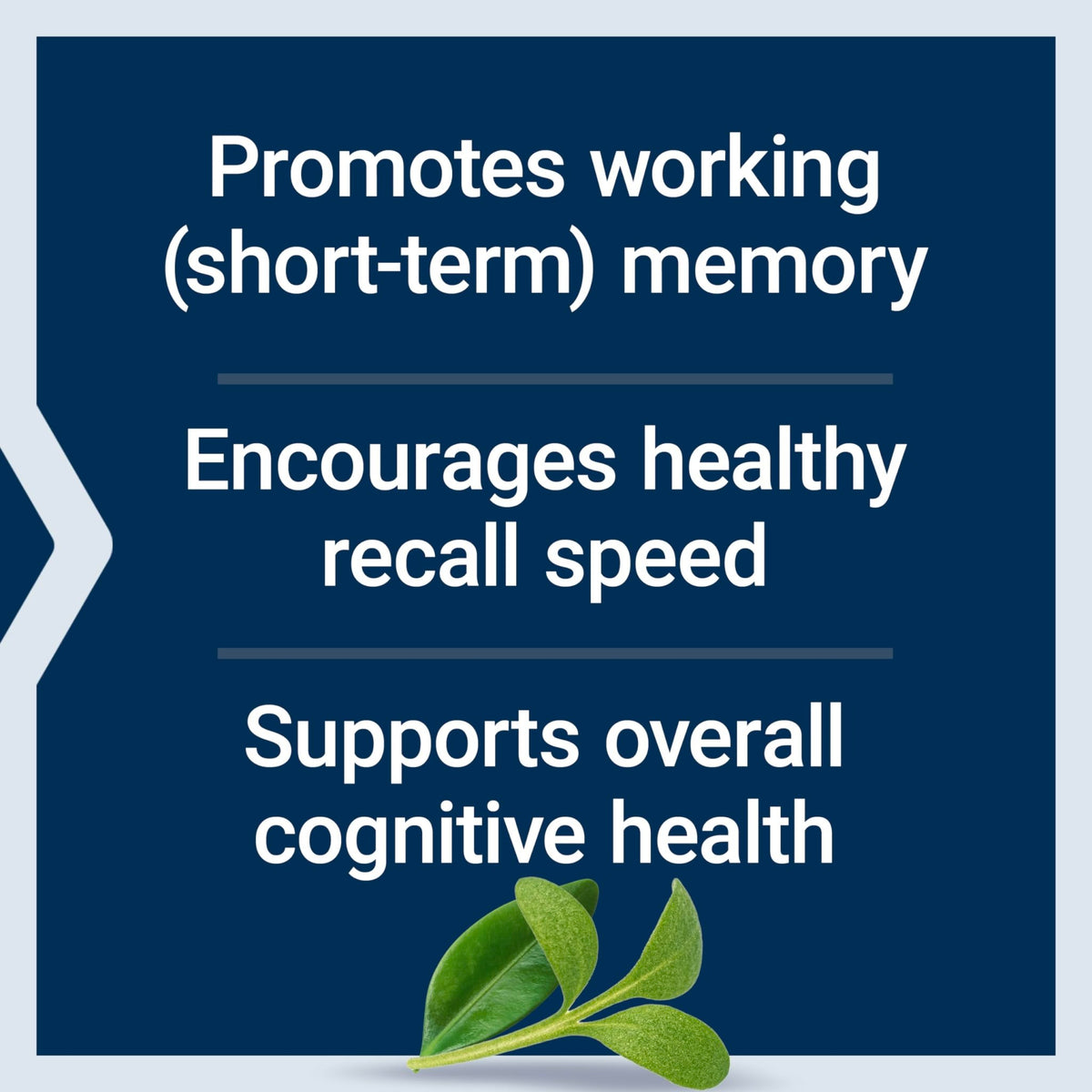 Life Extension Neuro-Mag Magnesium L-Threonate Powder (Tropical Punch) - Ultra-Absorbable Magnesium - Supports Memory, Focus, Cognitive Function & Mood - FENGGESTORE20