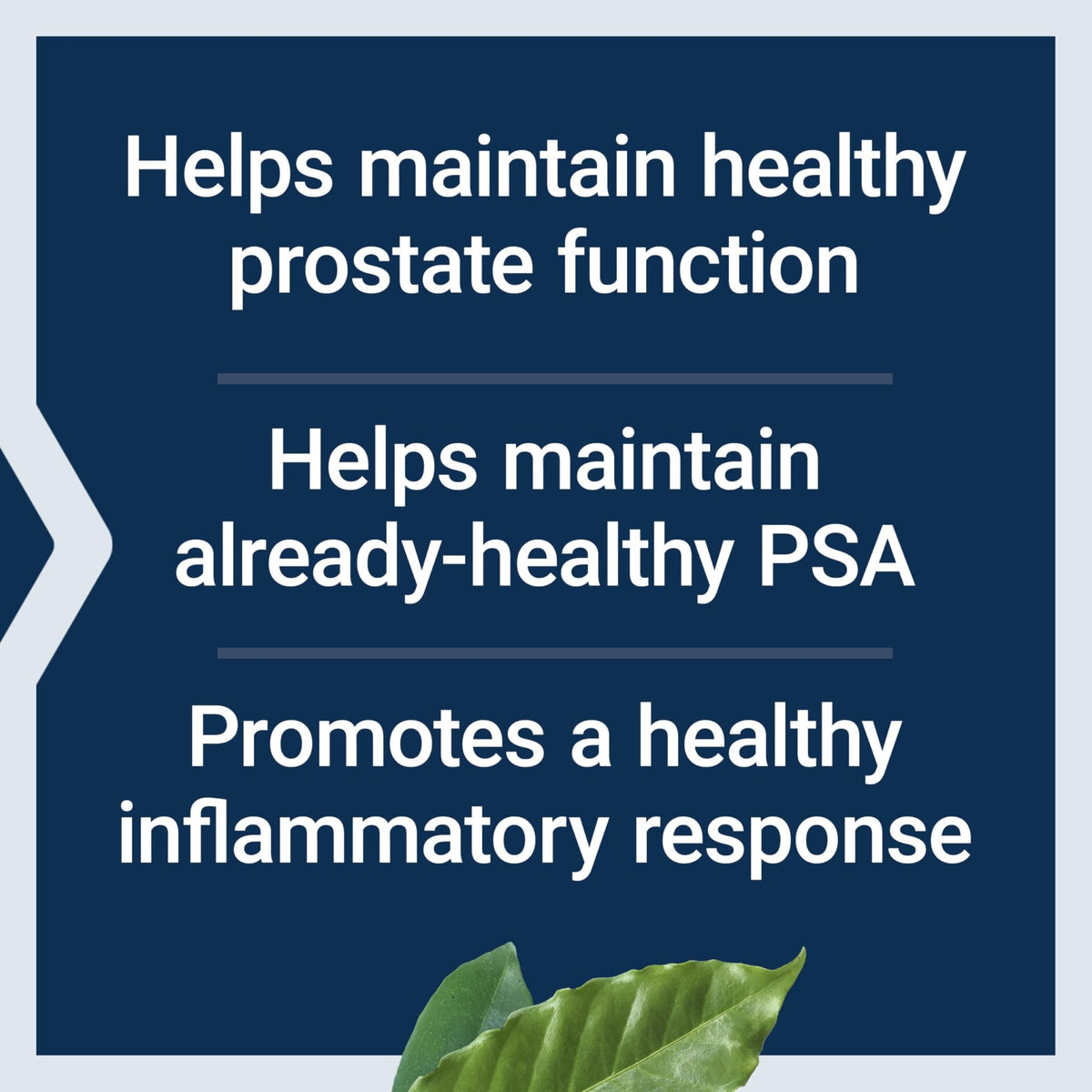 Life Extension Ultra Prostate Formula, Saw Palmetto for Men, pygeum, stinging Nettle Root, lycopene, Prostate Health, Urination Flow - FENGGESTORE20
