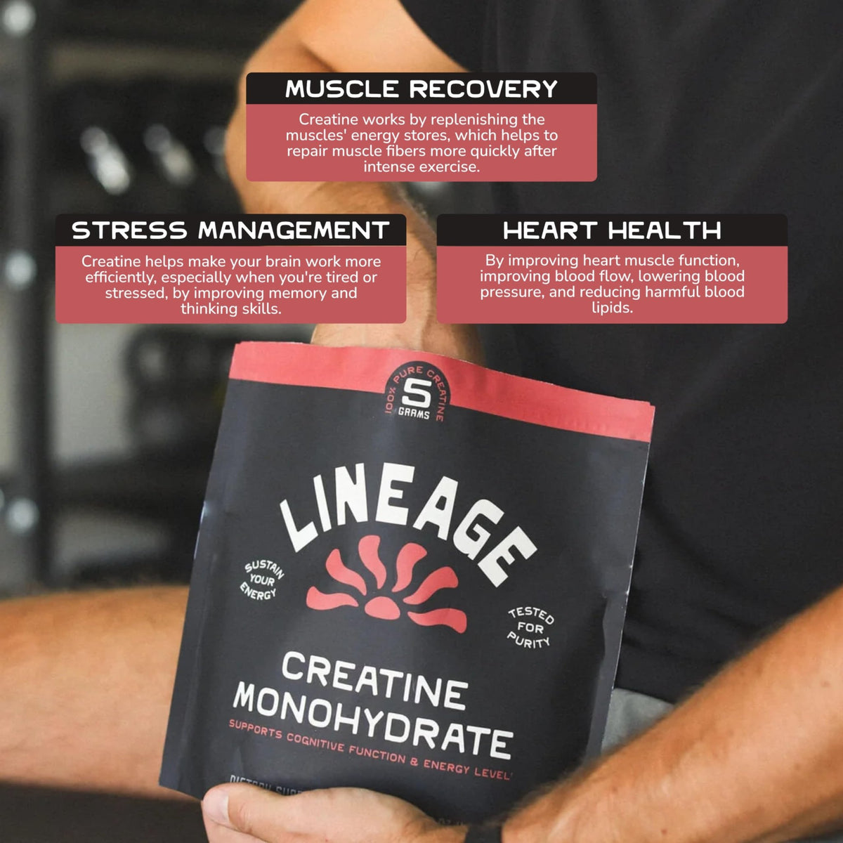 Lineage Provisions Micronized Creatine Monohydrate with Sea Salt - Micronized Creatine Powder for Training & Performance - FENGGESTORE20