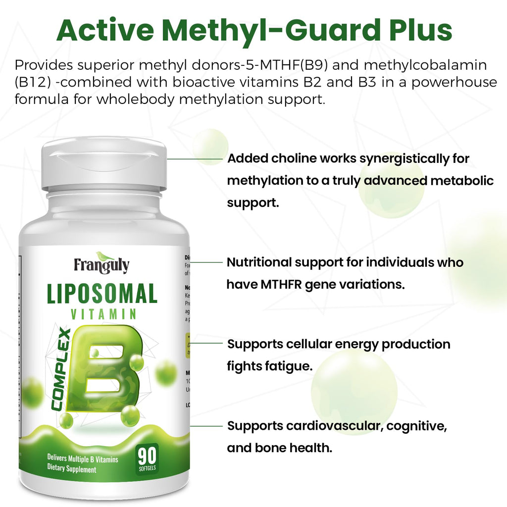 Liposomal B Complex for High Absorption Methylated B12,L-Methyfolate(5-MTHF ),Full Active B Vitamins with Choline Inositol-Energy, Metabolism,Brain & Heart Support - FENGGESTORE20