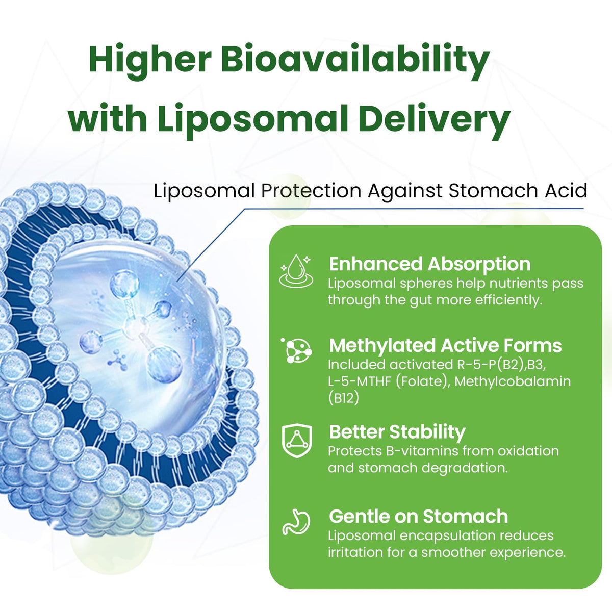 Liposomal B Complex for High Absorption Methylated B12,L-Methyfolate(5-MTHF ),Full Active B Vitamins with Choline Inositol-Energy, Metabolism,Brain & Heart Support - FENGGESTORE20