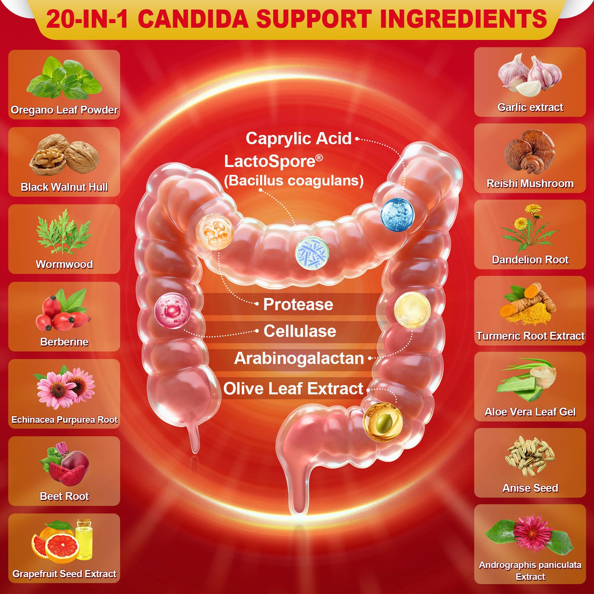 Liposomal Candida Cleanse Drops 2000mg - 20-in-1 Candida Detox for Women & Men with Caprylic Acid, Oregano, Black Walnut & Wormwood – Yeast Detox, Gut & Colon Support, - FENGGESTORE20