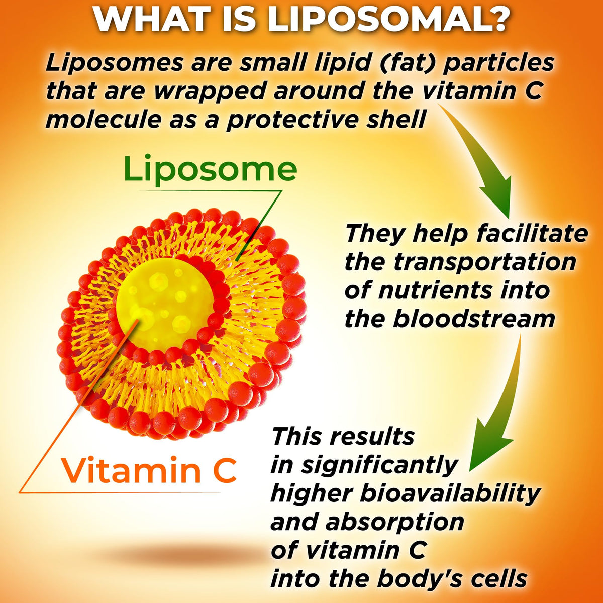 Liposomal Vitamin C Capsules - 1500mg - Made with Organic Acerola Cherries & Camu Camu, High Potency Vitamin C Liposomal - Immune Support Supplement - FENGGESTORE20