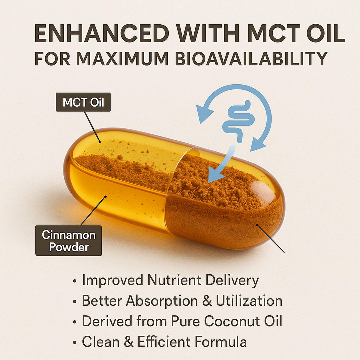 LIRAE Ceylon Cinnamon Softgels with MCT Oil – 300 Softgels – True Ceylon Cinnamon Supplement – Non-GMO, Gluten Free - FENGGESTORE20