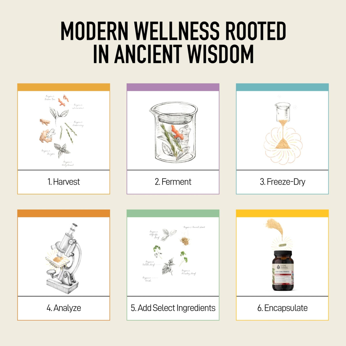 Living Alchemy Gut Health Supplements for Women - Your Flora Probiotics Women with Fermented Soybean, Cranberry Juice, Roselle, Prebiotics, Digestive Enzyme, & Probiotics - Vegan, Non-GMO, 60 Pcs - FENGGESTORE20
