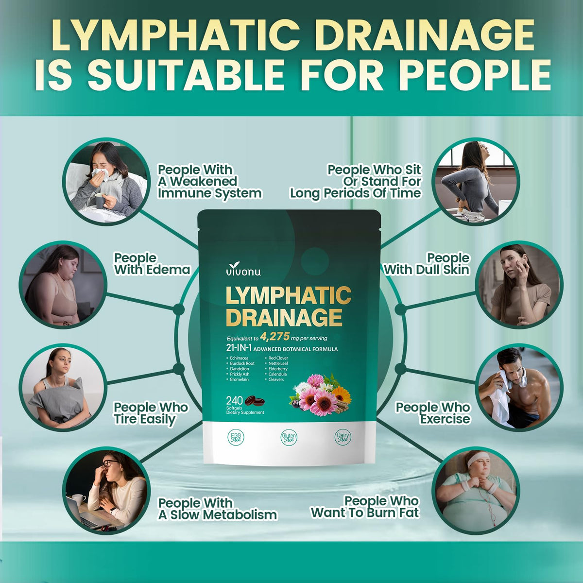 Lymphatic Drainage Supplements, 240 Softgels, Lymph System Support Supplement for Women & Men, 21-in-1 Herbal Blend with Echinacea, Dandelion, Burdock, Bromelain, Calendula, Turmeric & More, 1 Bag - FENGGESTORE20
