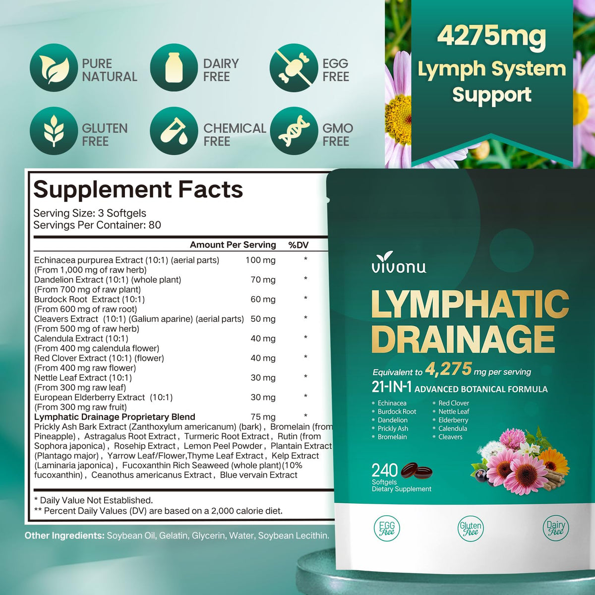 Lymphatic Drainage Supplements, 240 Softgels, Lymph System Support Supplement for Women & Men, 21-in-1 Herbal Blend with Echinacea, Dandelion, Burdock, Bromelain, Calendula, Turmeric & More, 1 Bag - FENGGESTORE20