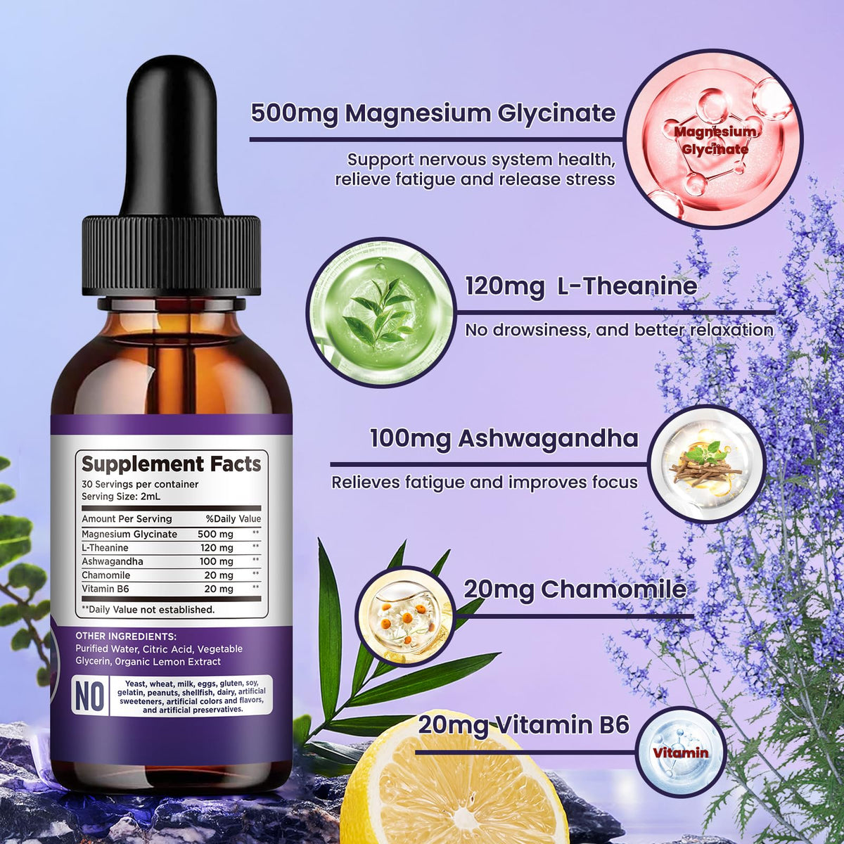 Magnesium Glycinate Supplement, Magnesium Liquid Drops with Magnesium Glycinate 500mg Vitamin B6, Ashwagandha, L - Theanine, Chamomile -Support Stress Relief, Bone, Muscle, Mood Vegan - FENGGESTORE20