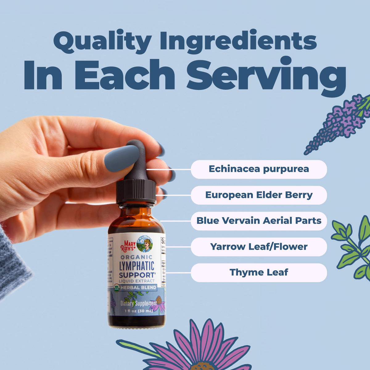 MARYRUTH'S Lymphatic Support Liquid Drops USDA Organic | Herbal Blend with Echinacea & Elderberry | Blue Vervain - FENGGESTORE20