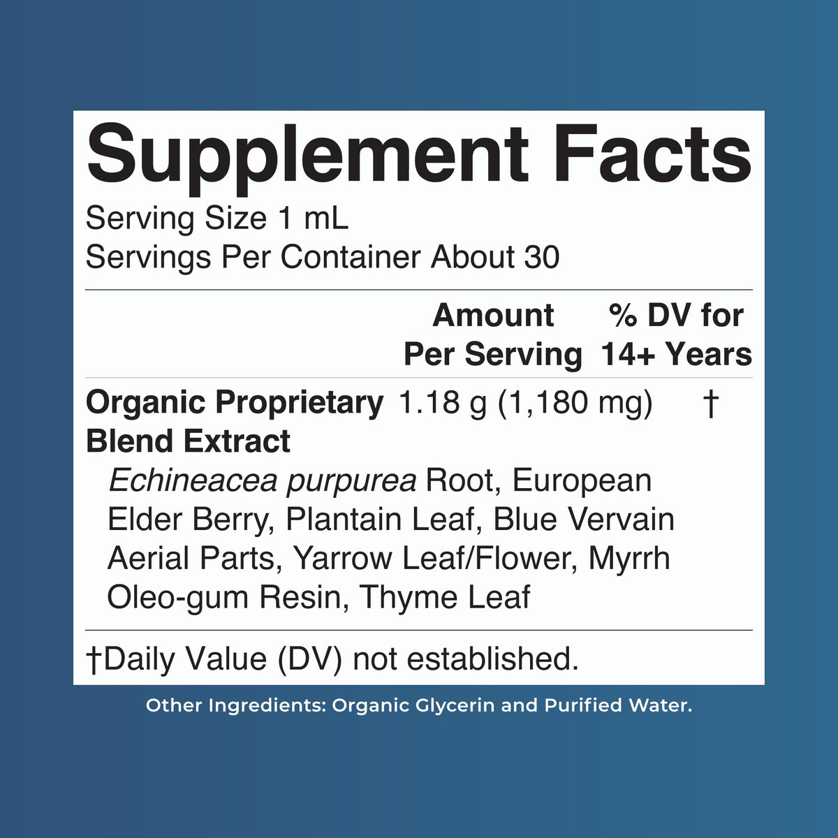 MARYRUTH'S Lymphatic Support Liquid Drops USDA Organic | Herbal Blend with Echinacea & Elderberry | Blue Vervain - FENGGESTORE20