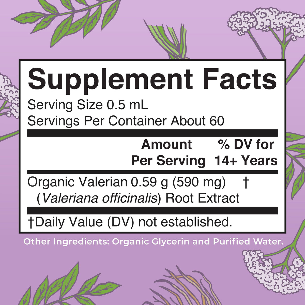 MARYRUTH'S Organics Valerian Root Liquid Drops | 2 Month Supply | Sugar Free | USDA Organic Valerian Root Drops | Support Sleep | Calm and Stress Relief - FENGGESTORE20