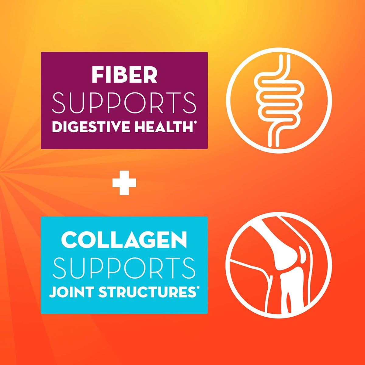 Metamucil Daily Fiber + Collagen, Psyllium Husk Powder, Plant Based Fiber Supplement, Sugar-Free with Stevia, 3-in-1 Fiber Supplement - FENGGESTORE20