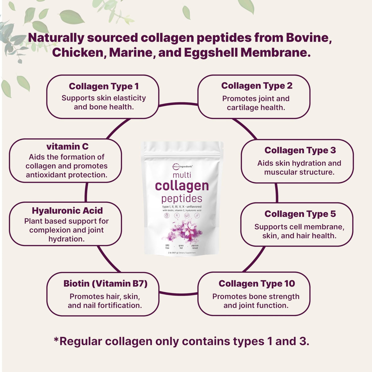 Micro Ingredients Multi Collagen Peptides Powder, 2lb – Hydrolyzed Type I,II,III,V,X with Biotin, Hyaluronic Acid, Vitamin C – Unflavored Collagen for Women & Men - FENGGESTORE20
