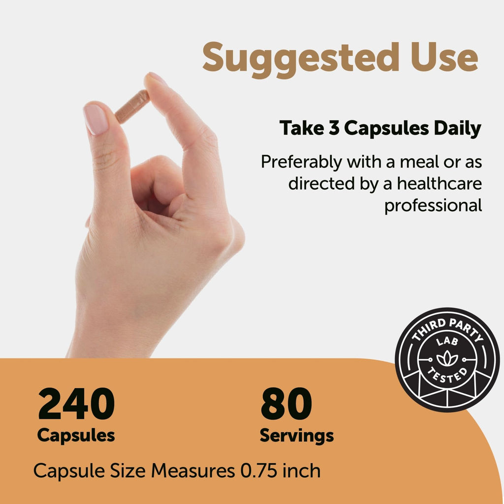 Micro Ingredients Nattokinase 10,000 FU Per Serving (Natural Natto Extract), 240 Vegetarian Capsules | with CoQ10, Turmeric, Aged Garlic & Pine Bark Extract - FENGGESTORE20