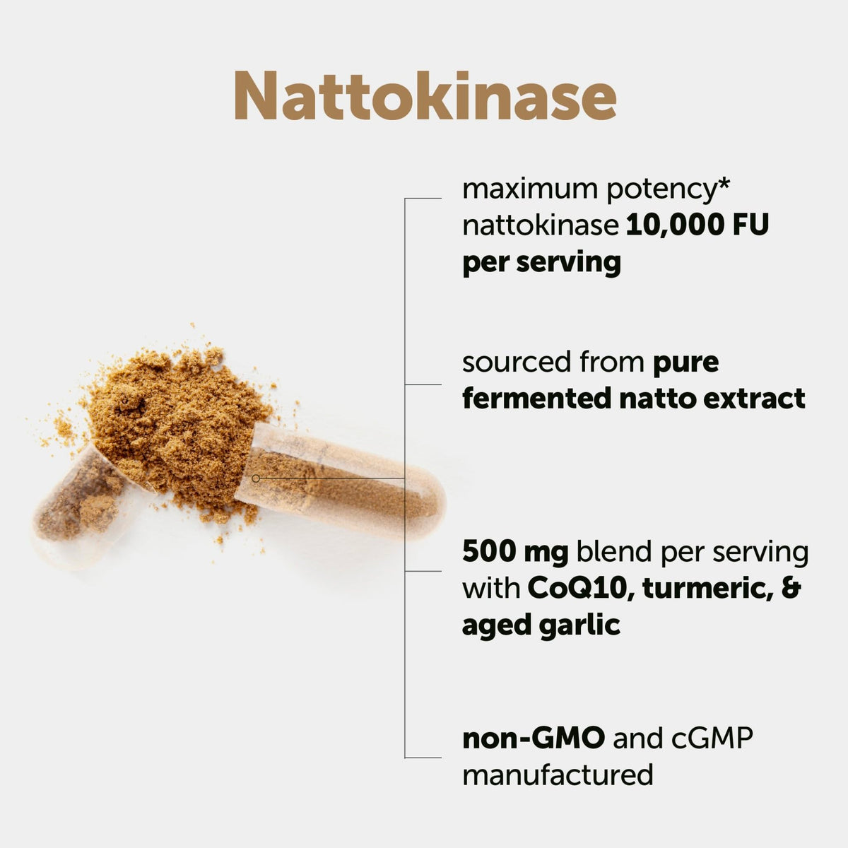 Micro Ingredients Nattokinase 10,000 FU Per Serving (Natural Natto Extract), 240 Vegetarian Capsules | with CoQ10, Turmeric, Aged Garlic & Pine Bark Extract - FENGGESTORE20