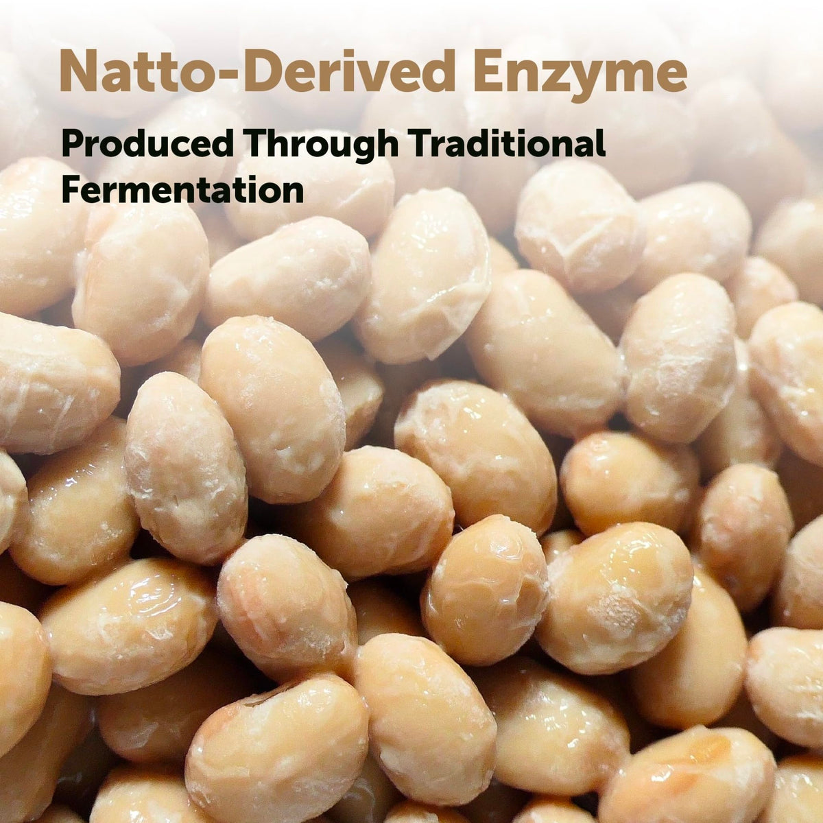 Micro Ingredients Nattokinase 10,000 FU Per Serving (Natural Natto Extract), 240 Vegetarian Capsules | with CoQ10, Turmeric, Aged Garlic & Pine Bark Extract - FENGGESTORE20